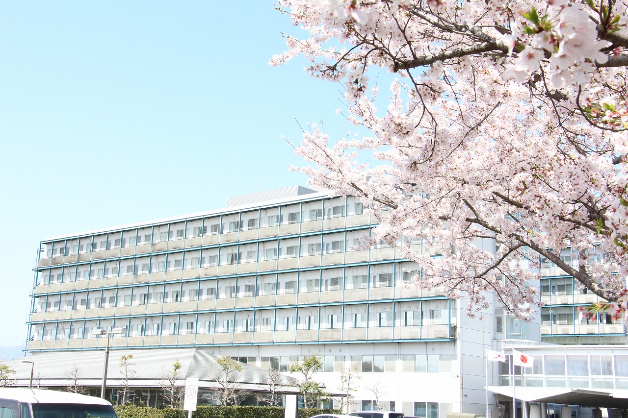 2021年3月31日　桜の季節